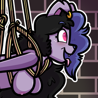 06/07/2025 – roxie (hogtied)